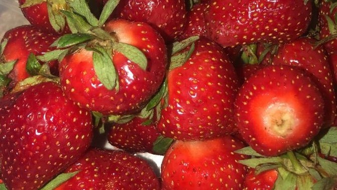 Çilekle sürpriz yapmak istesen, nasıl sunardın?