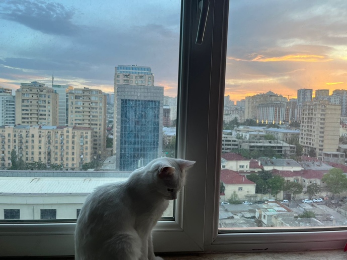 Hayatımın ellerimden ksyıp gidişini anlatayımmı size?