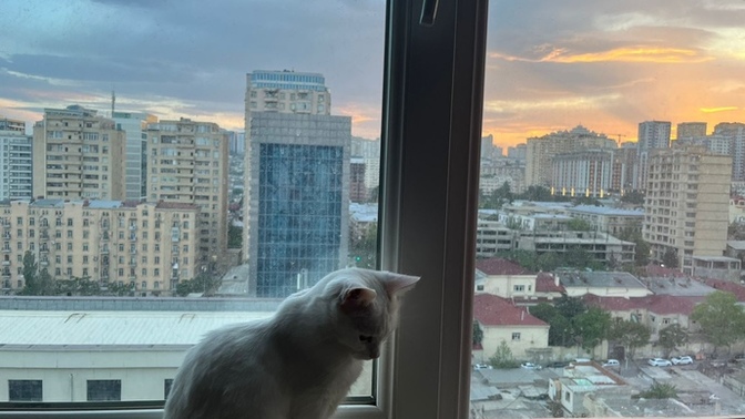 Hayatımın ellerimden ksyıp gidişini anlatayımmı size?