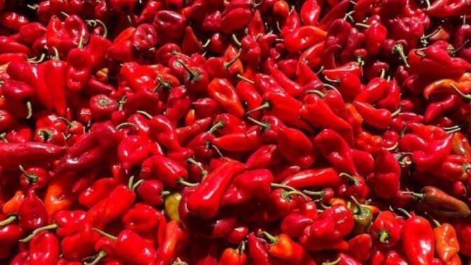 Acı biberli kahve yapsam içer miydiniz?