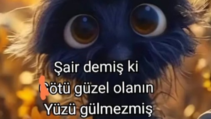 Doğruluğundan emin olduğunuz ama ispatlayamadığınız neler var 🙃?