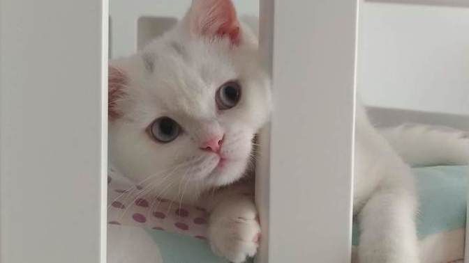 Evlat değil de nedir acaba 🥰?