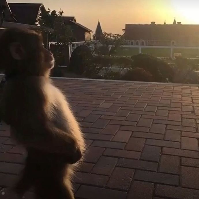 Kardeşinizi kurye gibi kullanabiliyor musunuz?