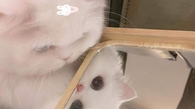 Her tartışmada ayrılığı tehdit olarak kullanan biriyle ilişki yürür mü?