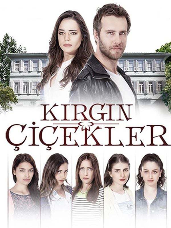 AŞK 101 mi Kırgın Çiçekler mi?