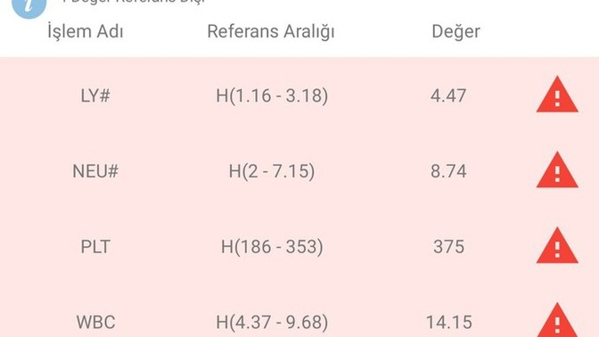 Kan tahlilinden anlayan yorumlayabilirmi?