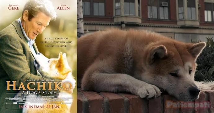 Sadakatin anlamını hangi filmden öğrenebiliriz?