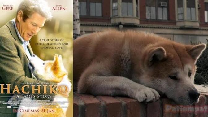 Sadakatin anlamını hangi filmden öğrenebiliriz?
