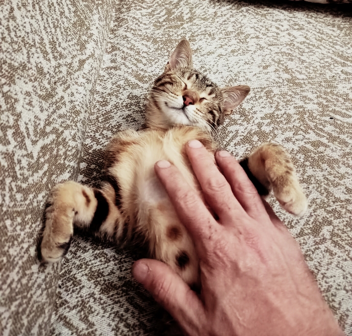 Selamlar ben Binnaz. Sahibimden çok memnunum.💞😻