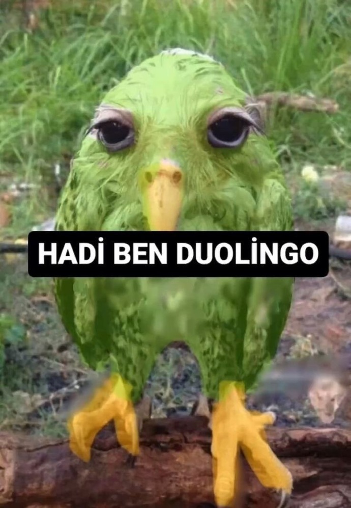 Sen gelmez oldunu ıslıkla çalabilecek bir yetenek abidesi var mı?