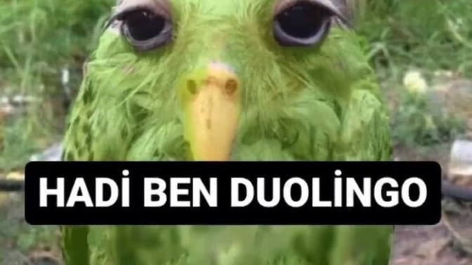 Sen gelmez oldun'u ıslıkla çalabilecek bir yetenek abidesi var mı?