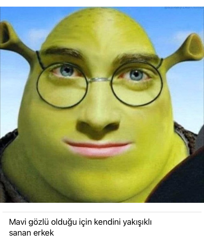  Kıvanç hariç diğerleri buna benziyor 