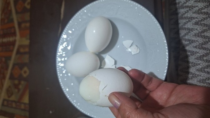 Yumurtayı bi ben mi coookk seviyorum?
