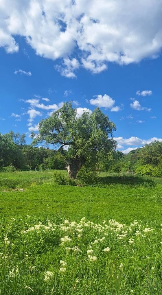 Görücü usulü mü aşk evliliği mi?