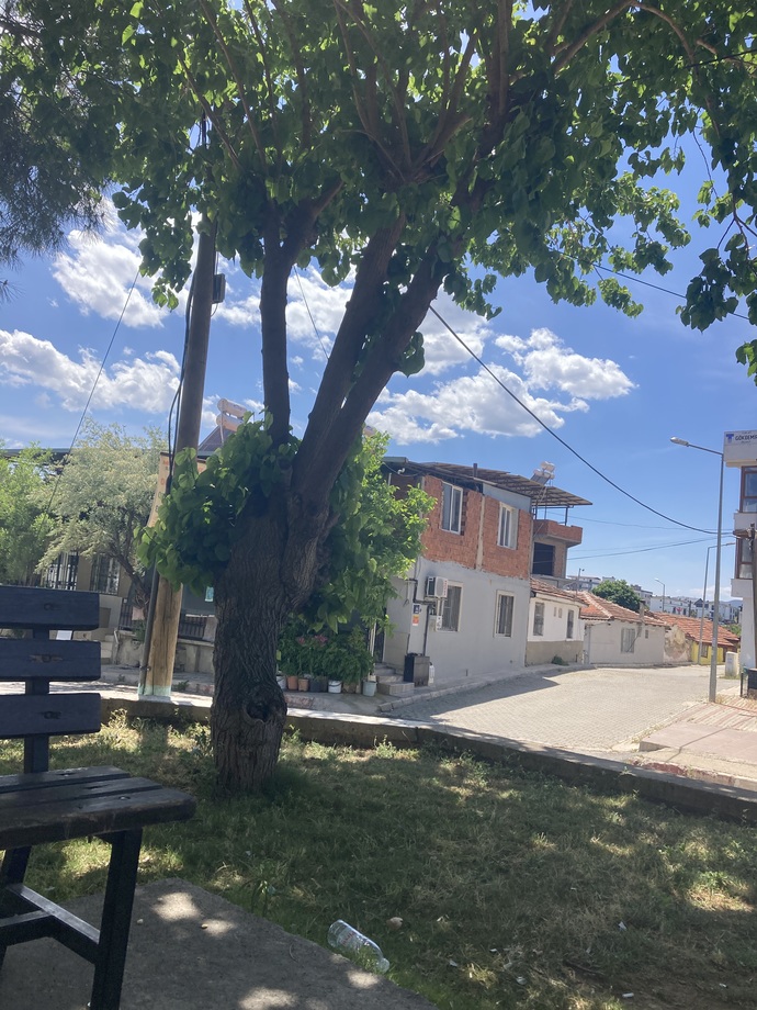 Hava bugün yanıyor ama yarın yağışlı 🙄?