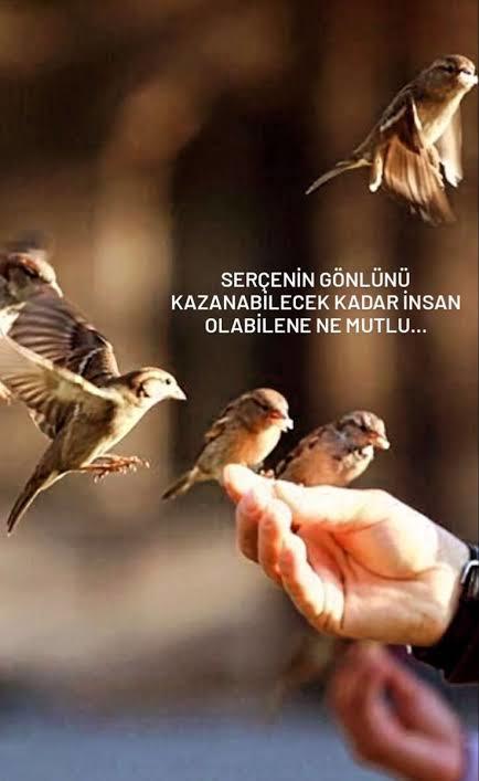 Merhametiniz ne zaman ölür?