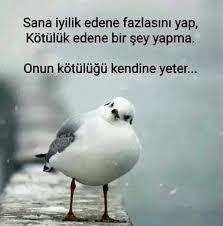 Merhametiniz ne zaman ölür?