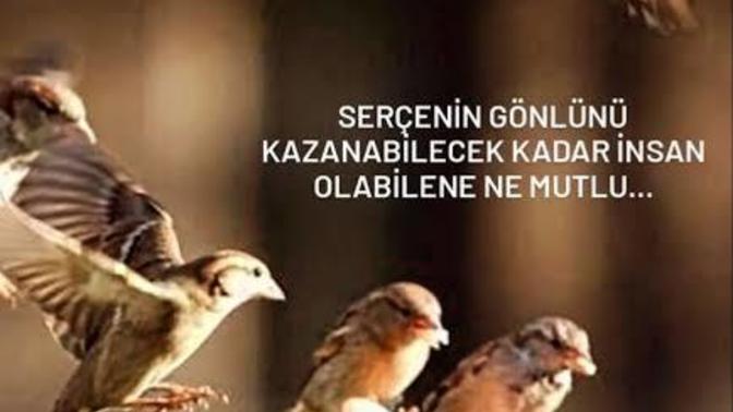 Merhametiniz ne zaman ölür?