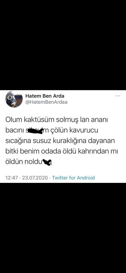 Neden böyle oldu kaktüs?