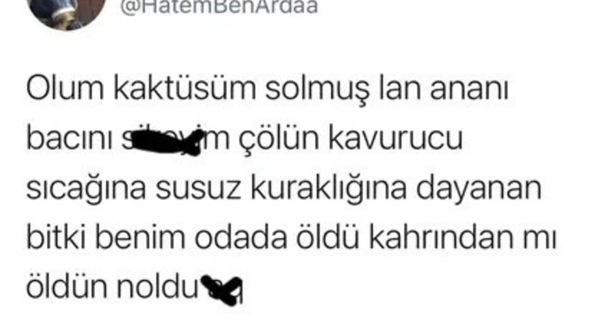 Neden böyle oldu kaktüs?