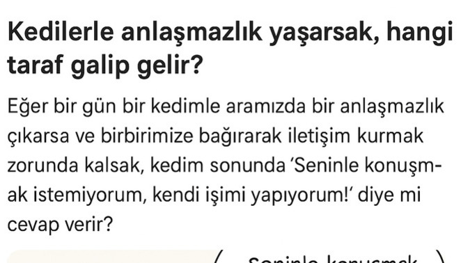 Kediler dünyayı ele geçirse, ilk iş olarak neyi yasaklarlar?