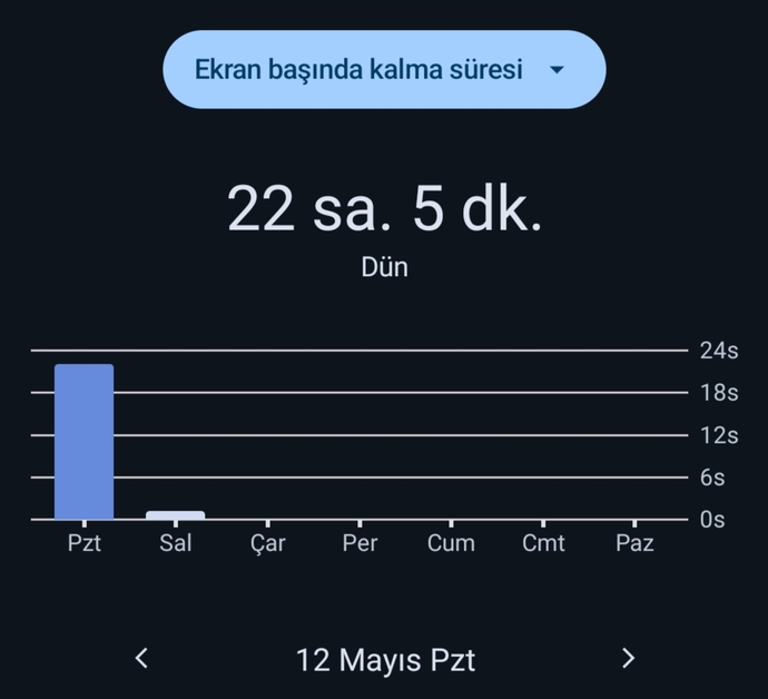 Hadi bakın söyleyin ekran süreniz kaç saat?