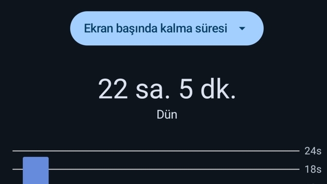 Hadi bakın söyleyin ekran süreniz kaç saat?