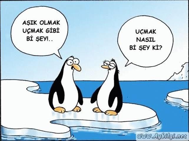 😅😂🤣🤣