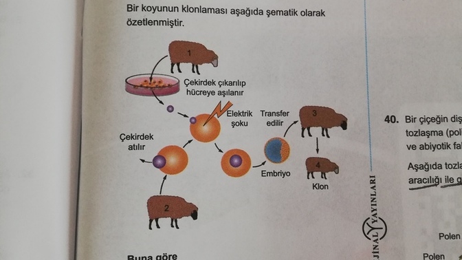 Bu soruyu nasıl çözcez yardım var mı?