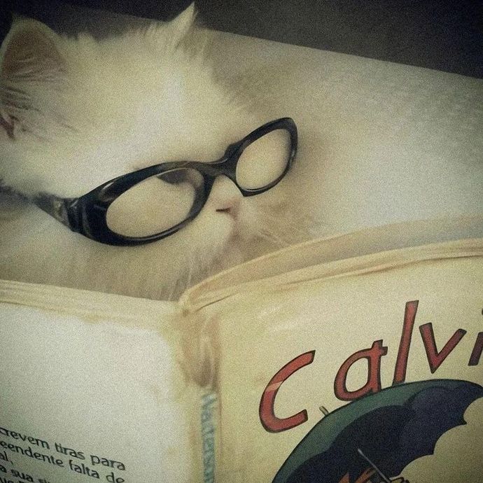 En büyük aşkınla alakalı kitap yazsalar kitabın son cümlesi ne olurdu?