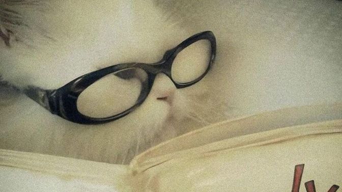En büyük aşkınla alakalı kitap yazsalar kitabın son cümlesi ne olurdu?
