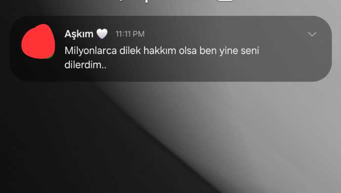 Seni seviyorumdan daha etkili bir cümleniz var mı?