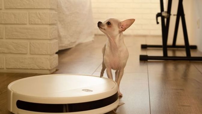 Kedi/köpek tüyü için en iyi süpürge hangisi sence?