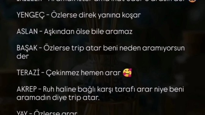 Siz özlediğinizde naparsınız?
