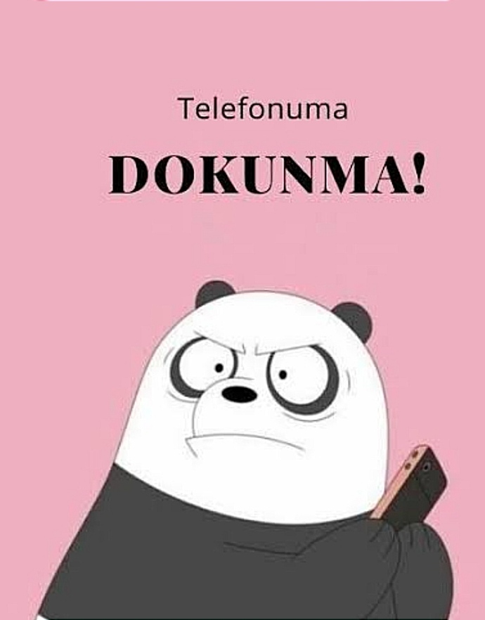 Telefon şifrenizi neye göre katarsınız?