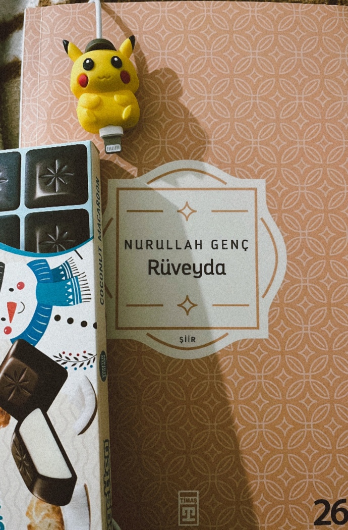 Kitap önerisi gelir mi?