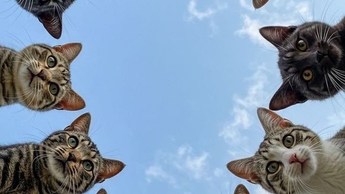 Hayatınızı merak edenlere karşı tavrınız ne olur?
