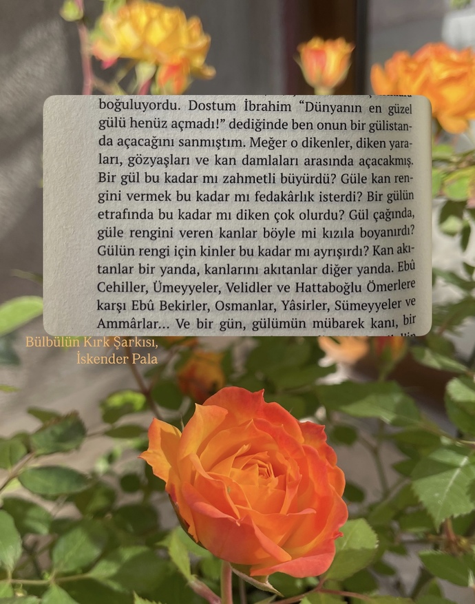 Nasılsınız ciceklerim?