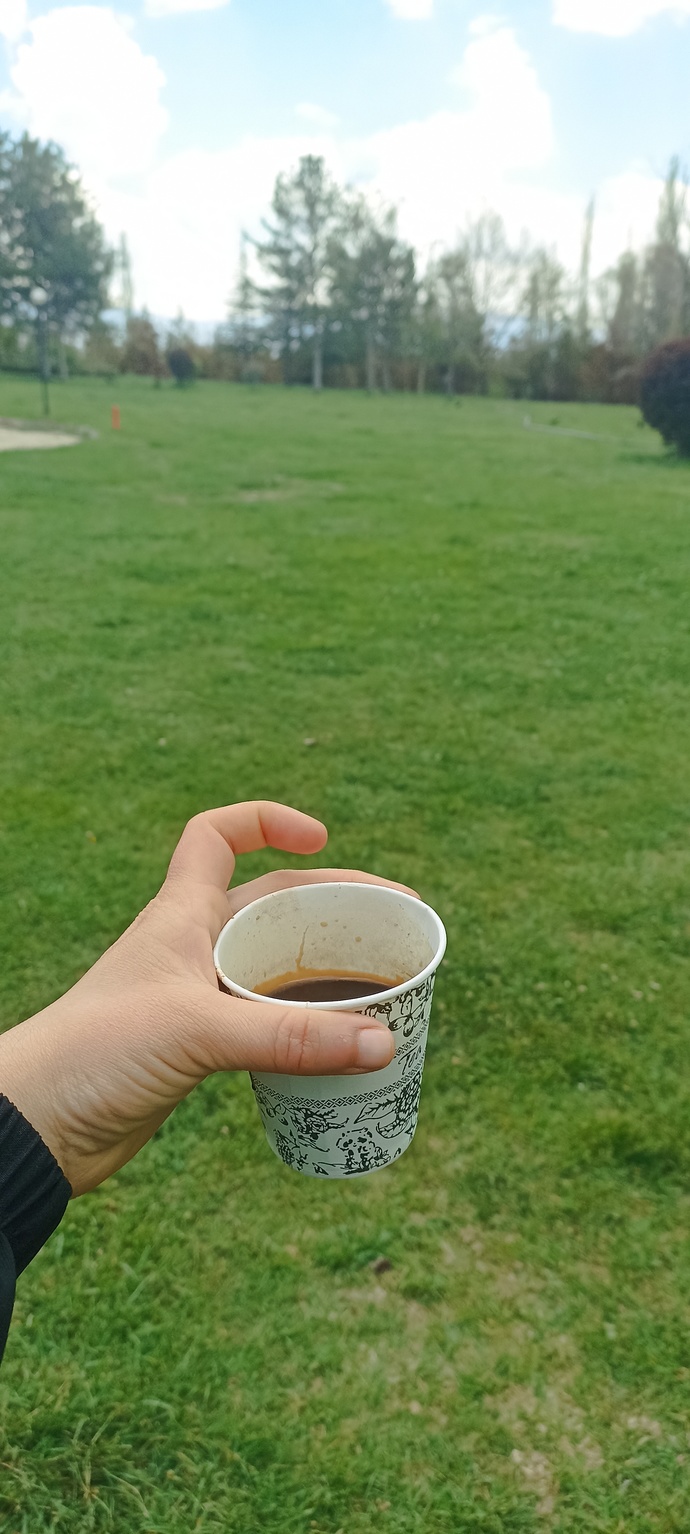 Pikniğe gidermisiniz?