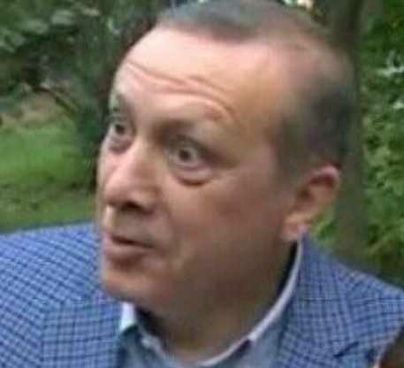 Rte başkana yazdığım şiir nasıl?