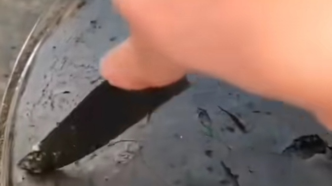 Aşkıma kek yaptım nasıl olmuş?