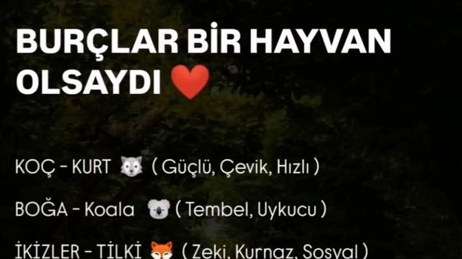 Burçlar bir hayvan olsaydı sen hangisi olurdun 😄?