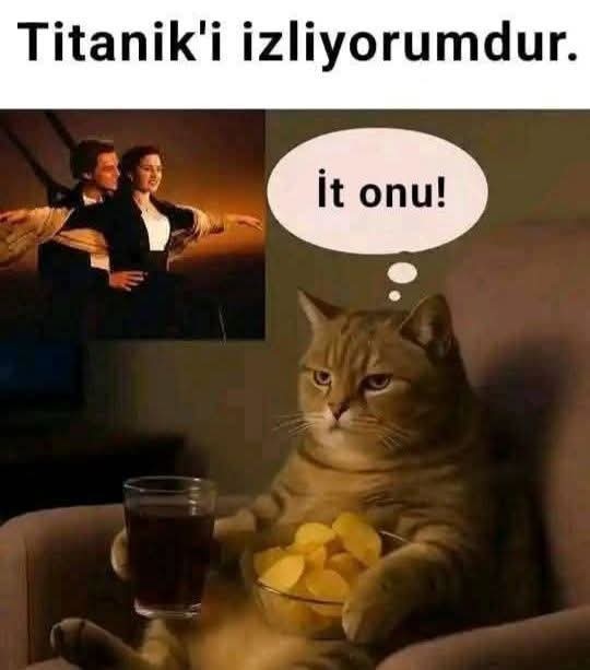 Romantik film sever misiniz?