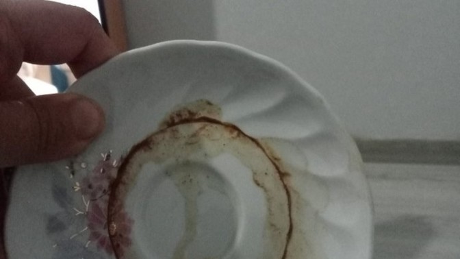 Hadi fal bakar mısınız?