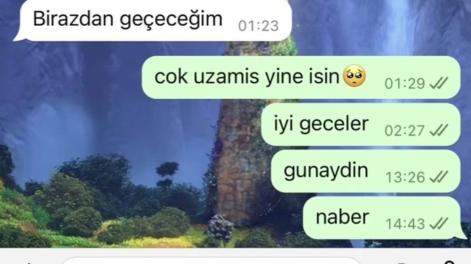 Ghostlanıyor muyum yoksa başına bişey mi gelmiştir?