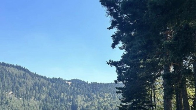 Güne güzel başlıyoruz adalar önümüzde?