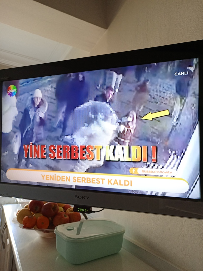 Çocuklara ailesinden ayrı bi yerde disiplinli eğitim şart mı?