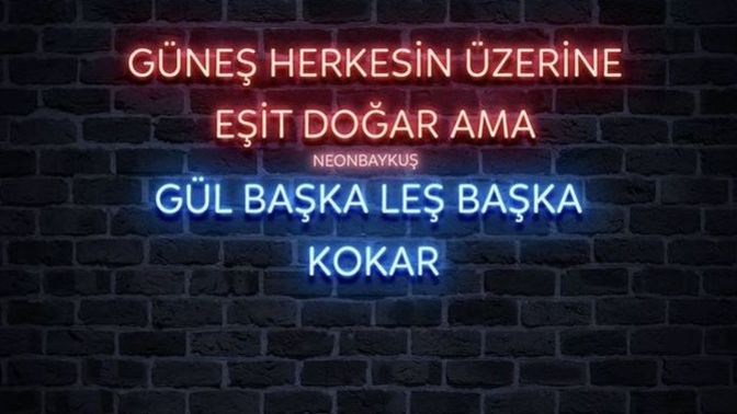 "Seni seviyorum"dan daha güzel bir yalan var mıdır?