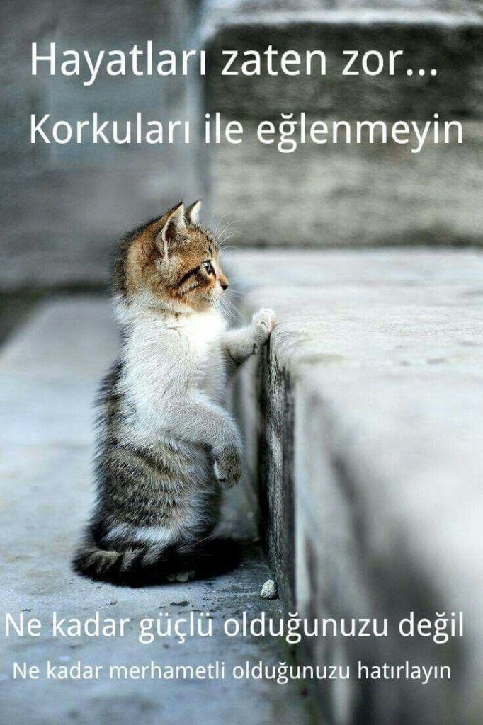 Merhametli biri misiniz?