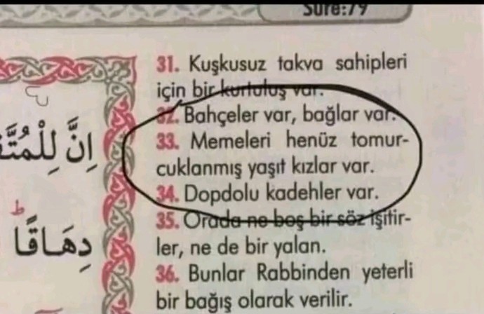 Sorgulayan insan : Nebe suresi 33 ?